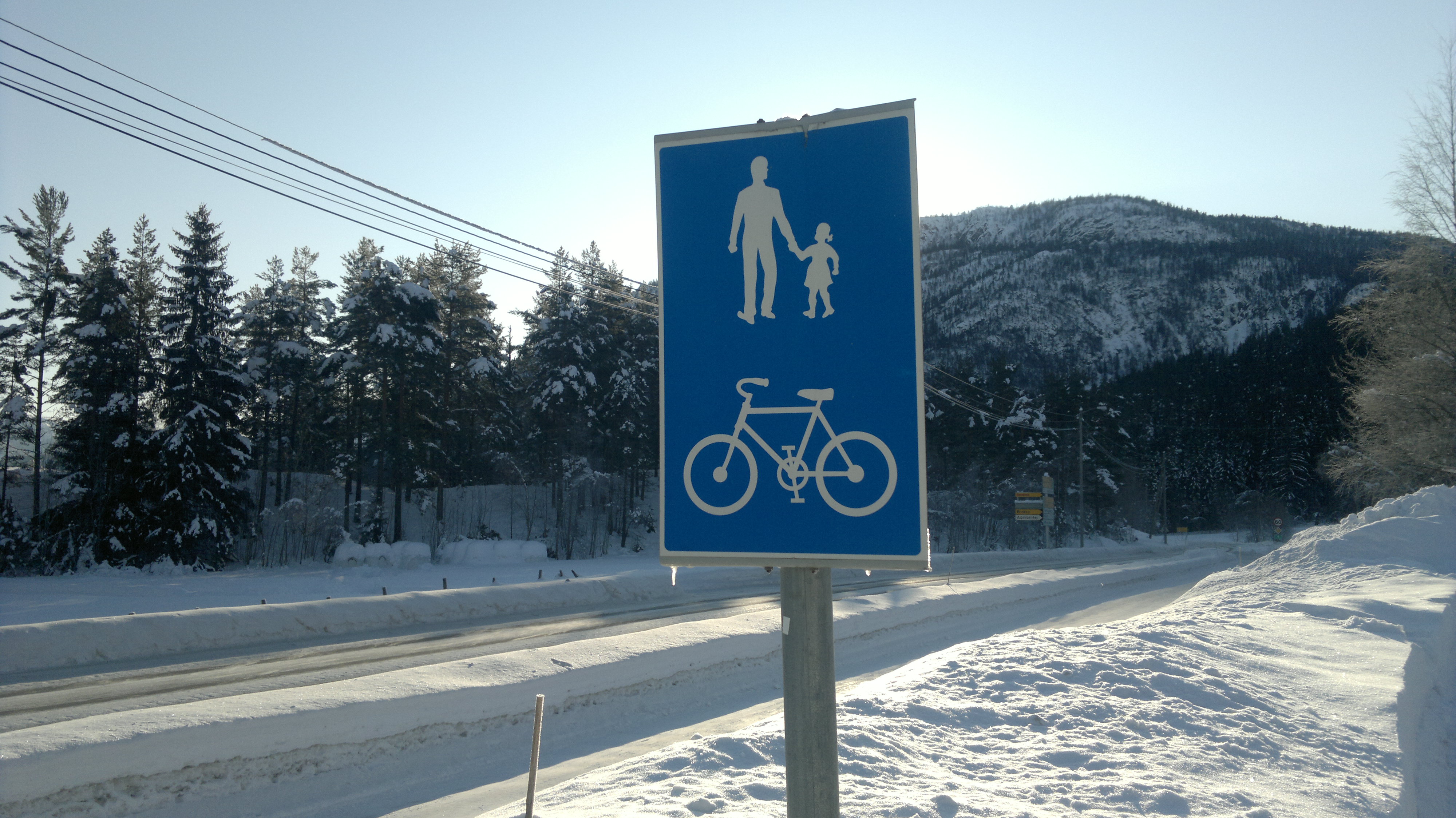 Skjelt