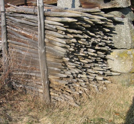 Staurela'